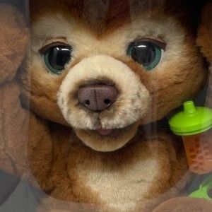 Meet your Posher, Krishunad